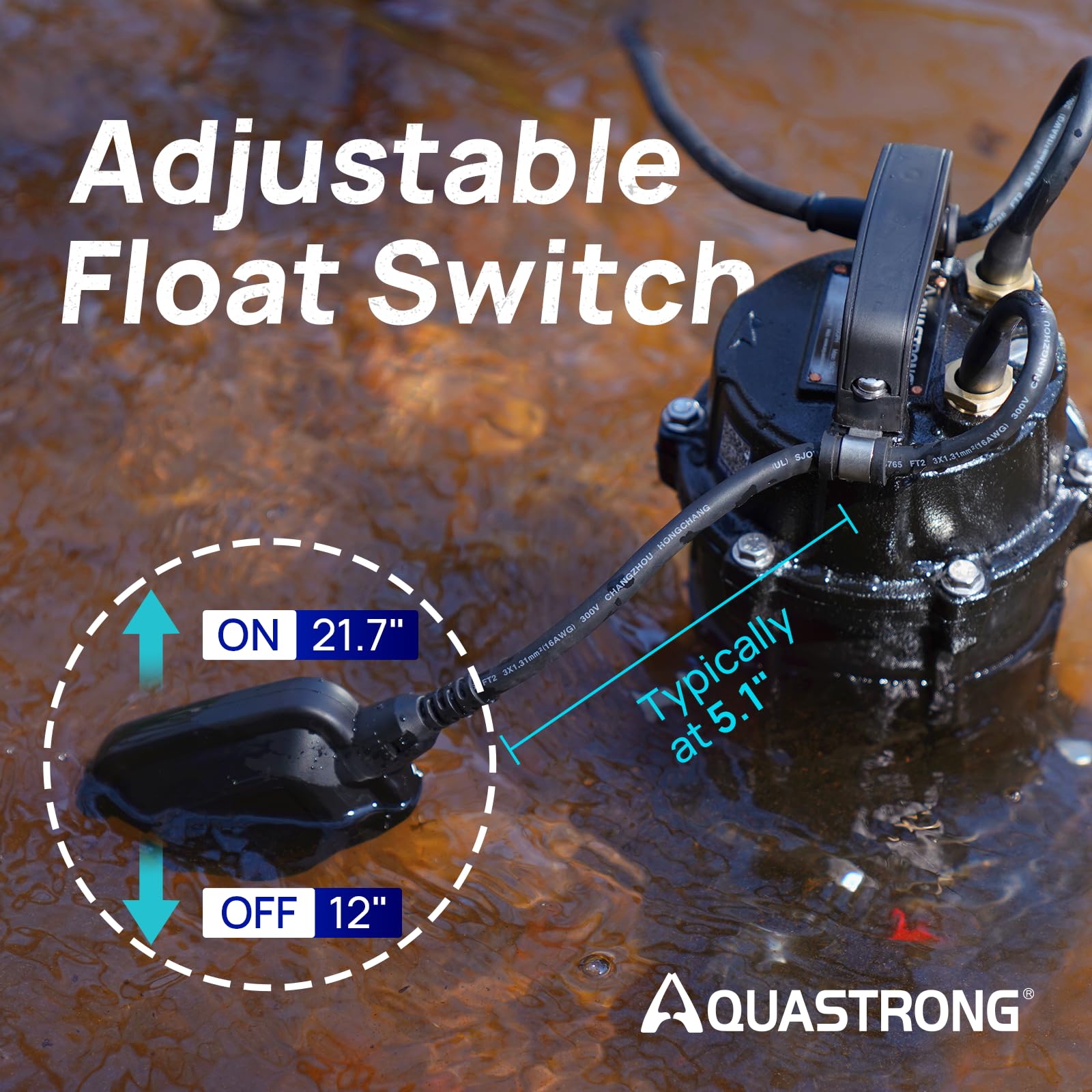 Everbilt 1/2 HP Cast Iron Submersible Sump Pump with Vertical Float Switch (Model HDS50), photo 3 of 6